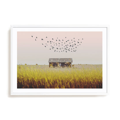 Harvest Barn