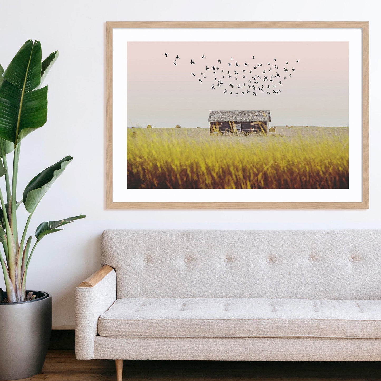 Harvest Barn
