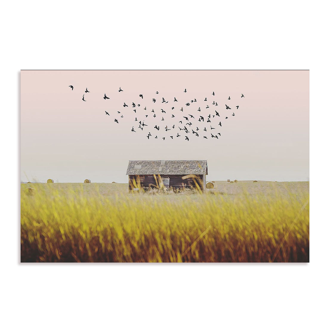 Harvest Barn