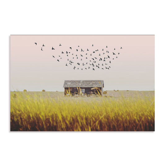 Harvest Barn