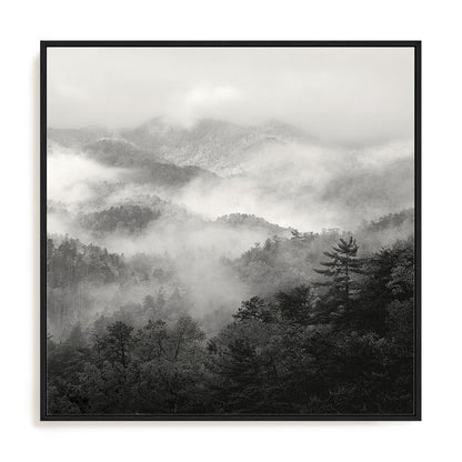 Spring Mist, Smoky Mountains