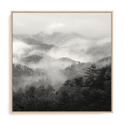 Spring Mist, Smoky Mountains