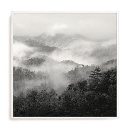 Spring Mist, Smoky Mountains