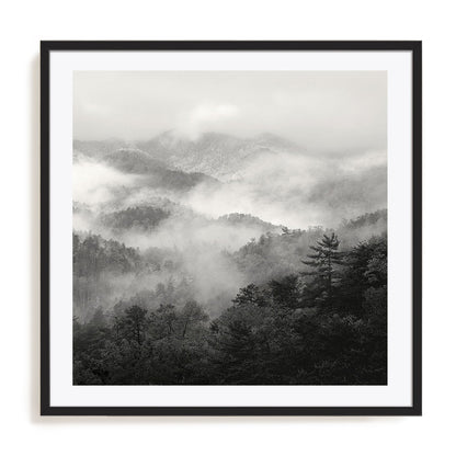 Spring Mist, Smoky Mountains