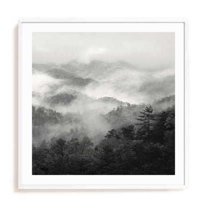 Spring Mist, Smoky Mountains
