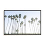 Keep Palm and Carry On Wall Art