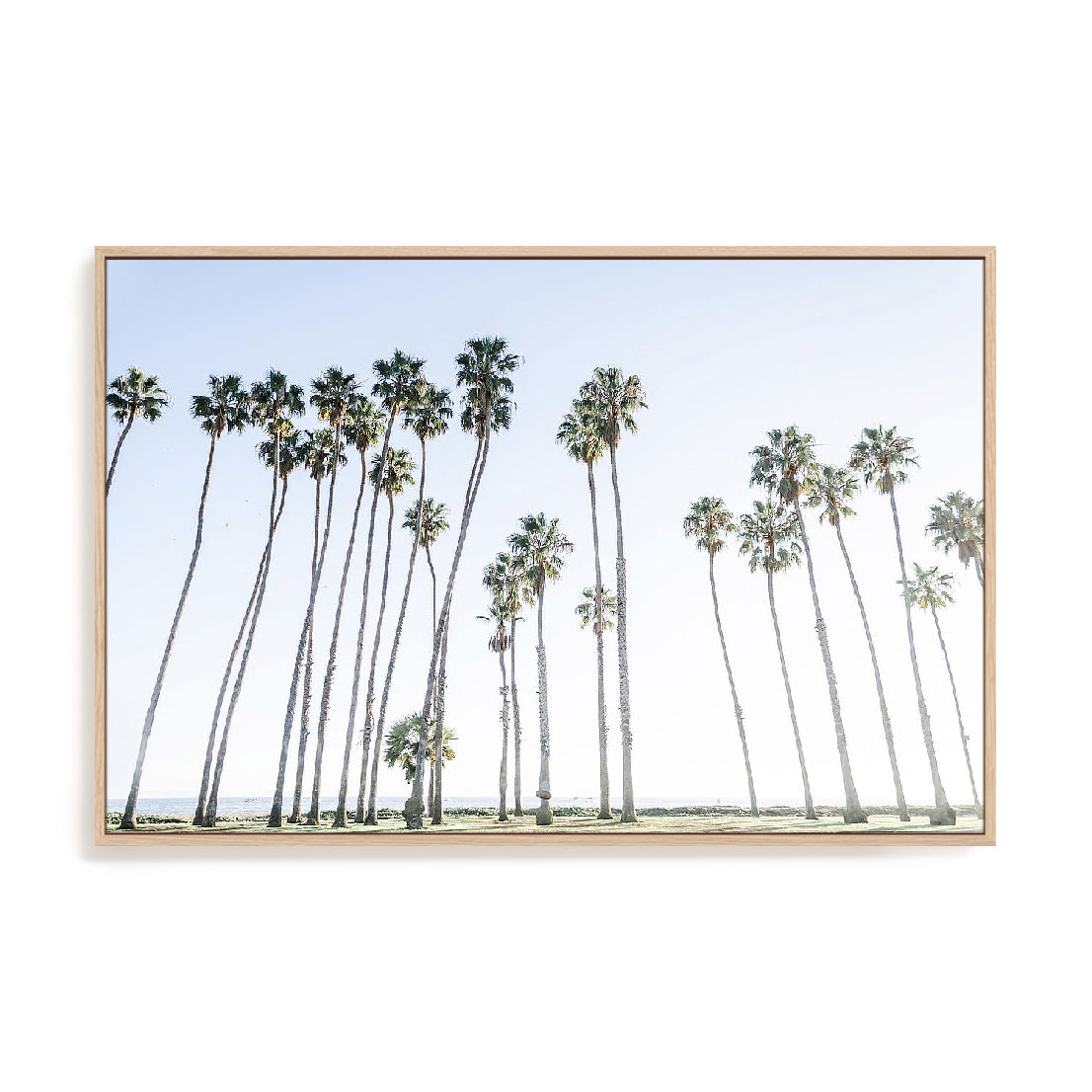 Keep Palm and Carry On Wall Art