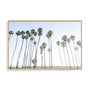 Keep Palm and Carry On Wall Art