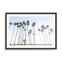 Keep Palm and Carry On Wall Art