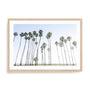 Keep Palm and Carry On Wall Art