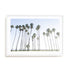 Keep Palm and Carry On Wall Art
