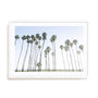 Keep Palm and Carry On Wall Art
