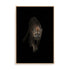 Lion Wall Art