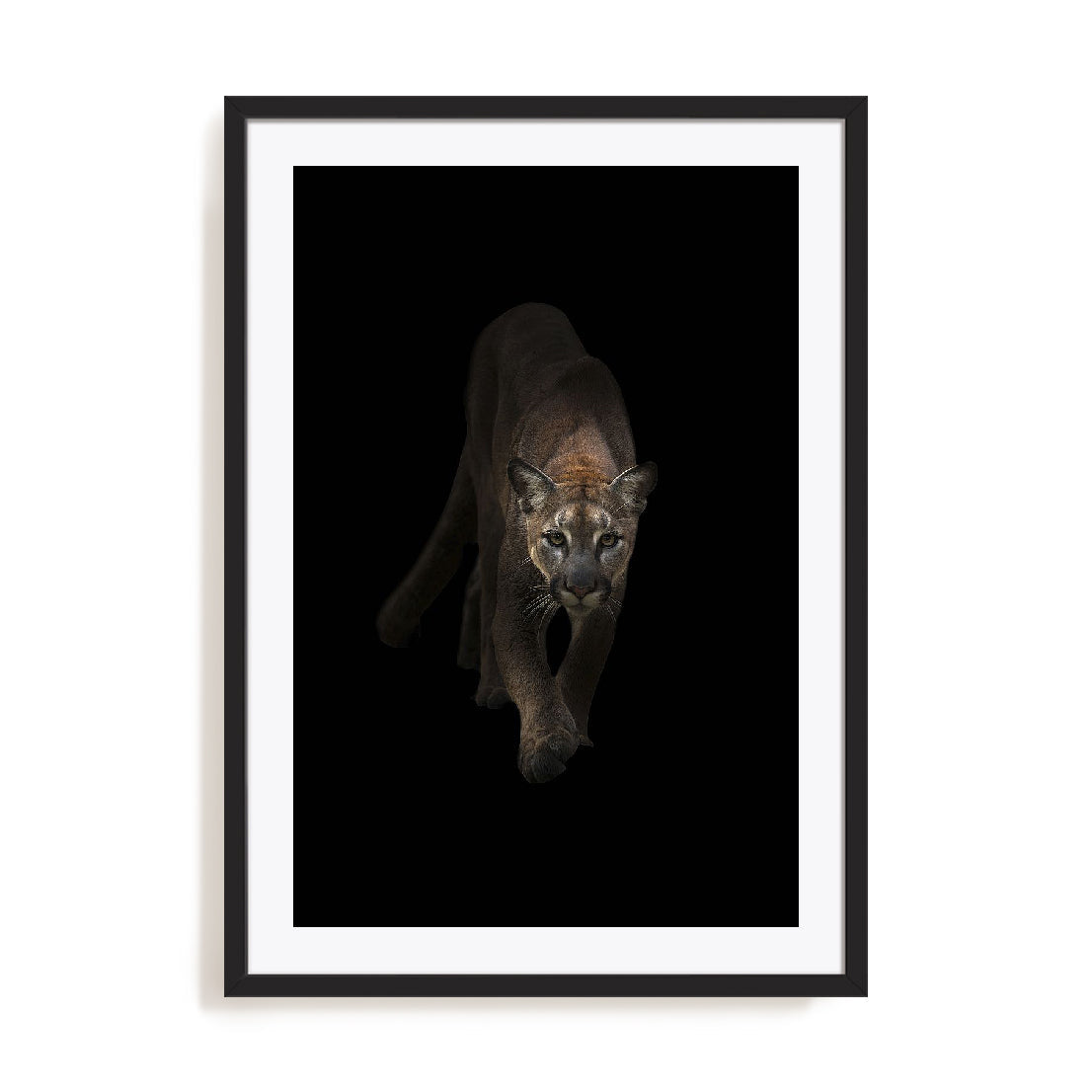 Lion Wall Art