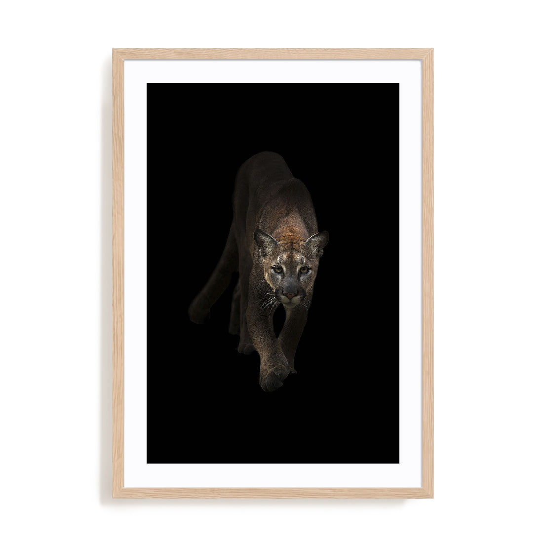 Lion Wall Art