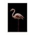 Flamingo Wall Art