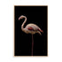 Flamingo Wall Art