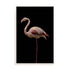 Flamingo Wall Art