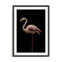 Flamingo Wall Art