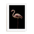 Flamingo Wall Art