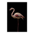 Flamingo Wall Art
