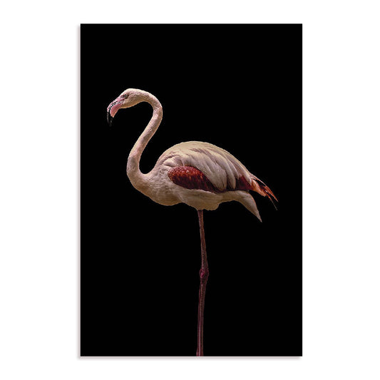Flamingo Wall Art