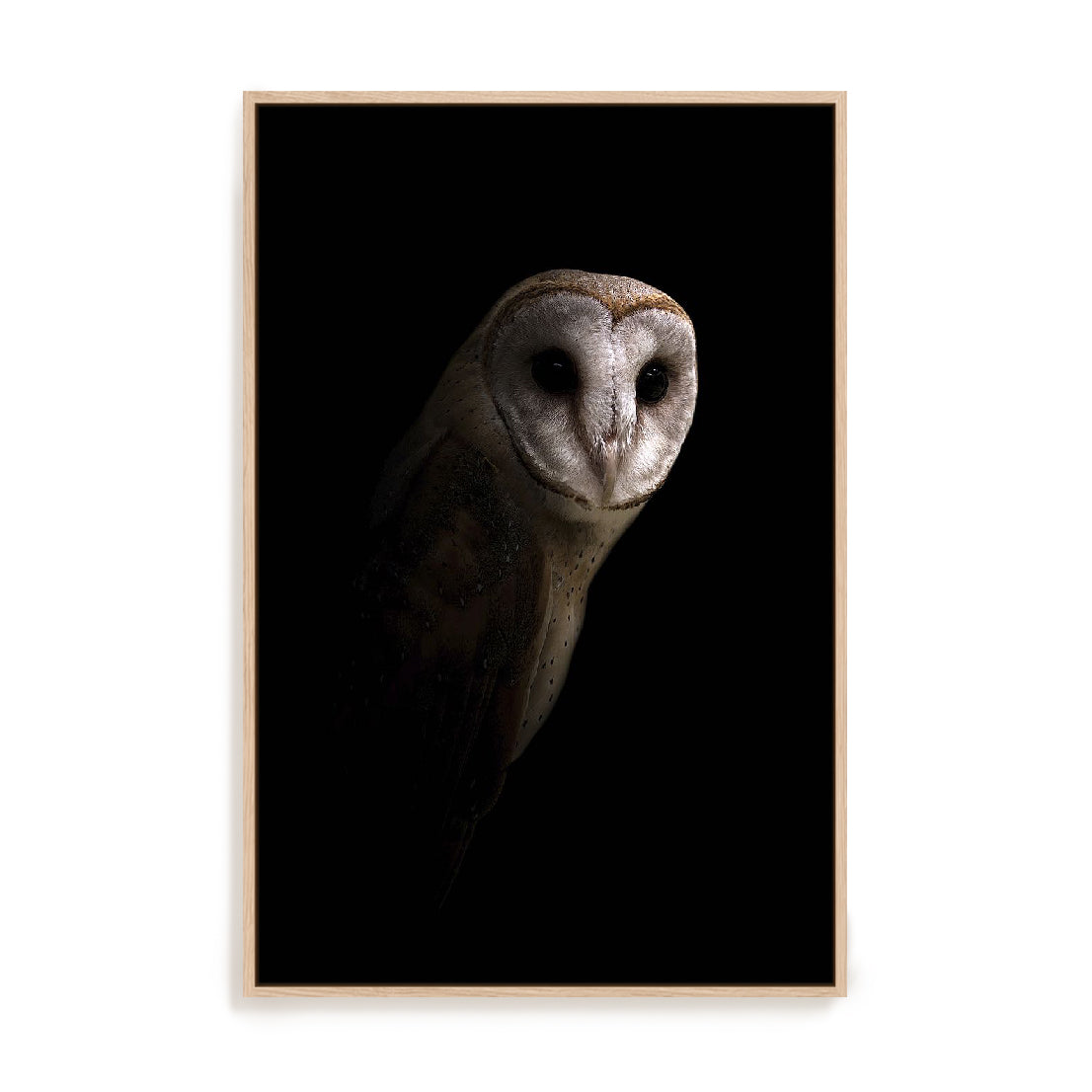 Owl Wall Art