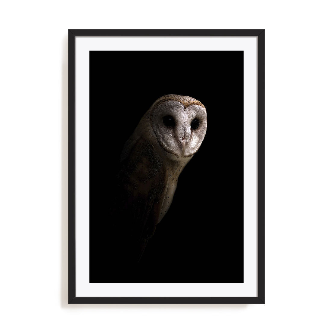 Owl Wall Art