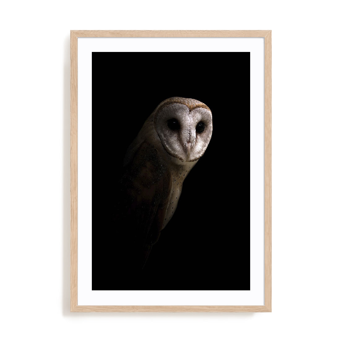 Owl Wall Art