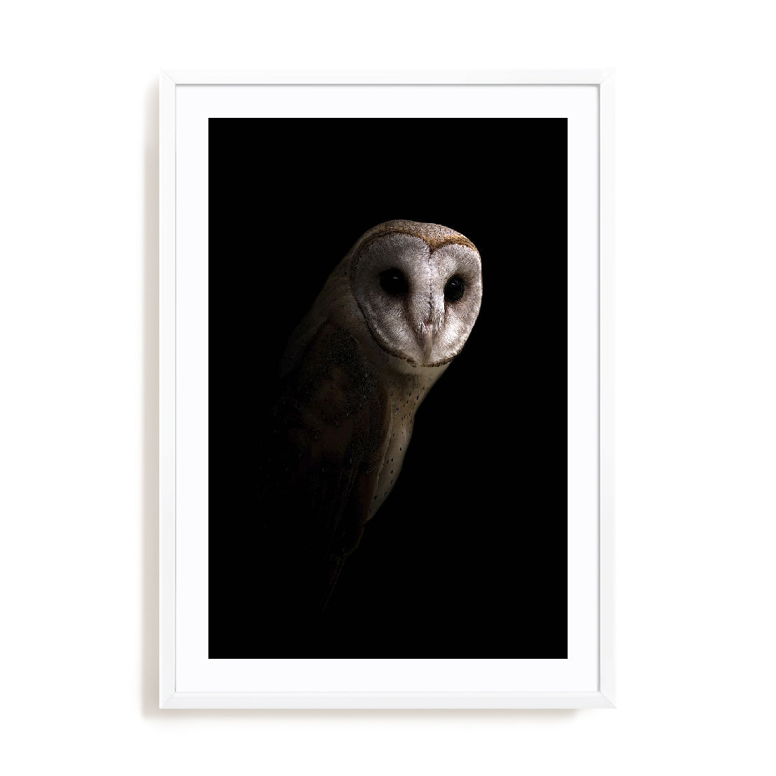 Owl Wall Art