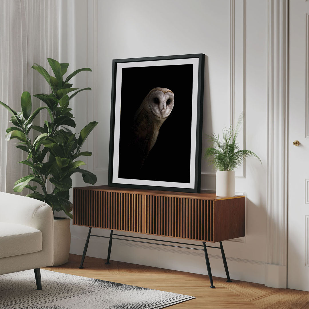 Owl Wall Art