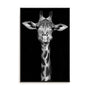 Giraffe Wall Art