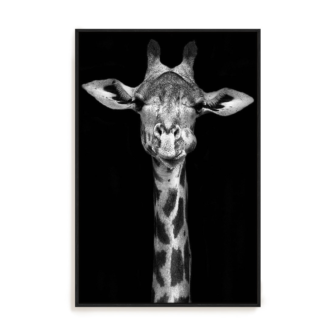 Giraffe Wall Art