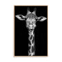 Giraffe Wall Art