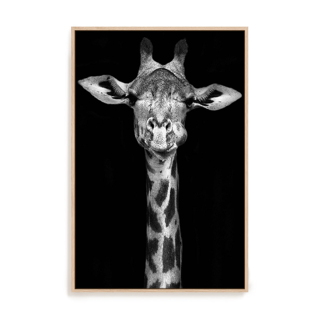 Giraffe Wall Art