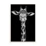 Giraffe Wall Art