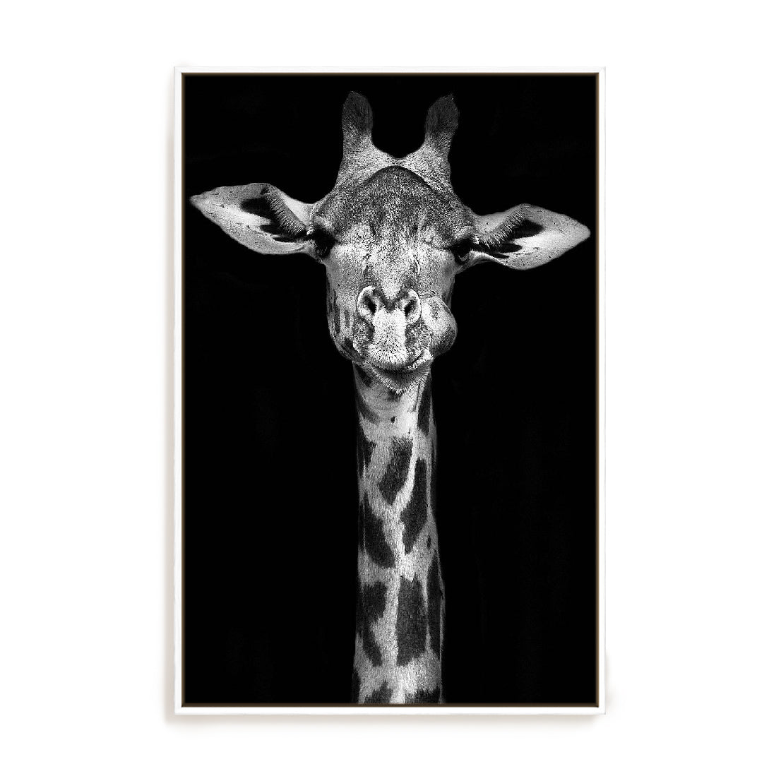 Giraffe Wall Art