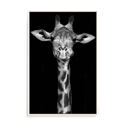 Giraffe Wall Art