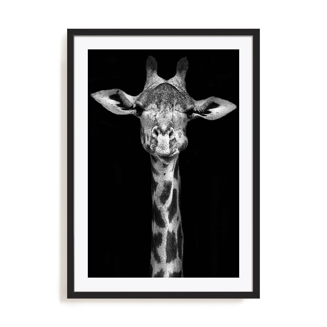 Giraffe Wall Art