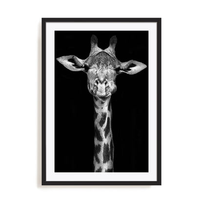 Giraffe Wall Art