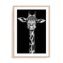 Giraffe Wall Art
