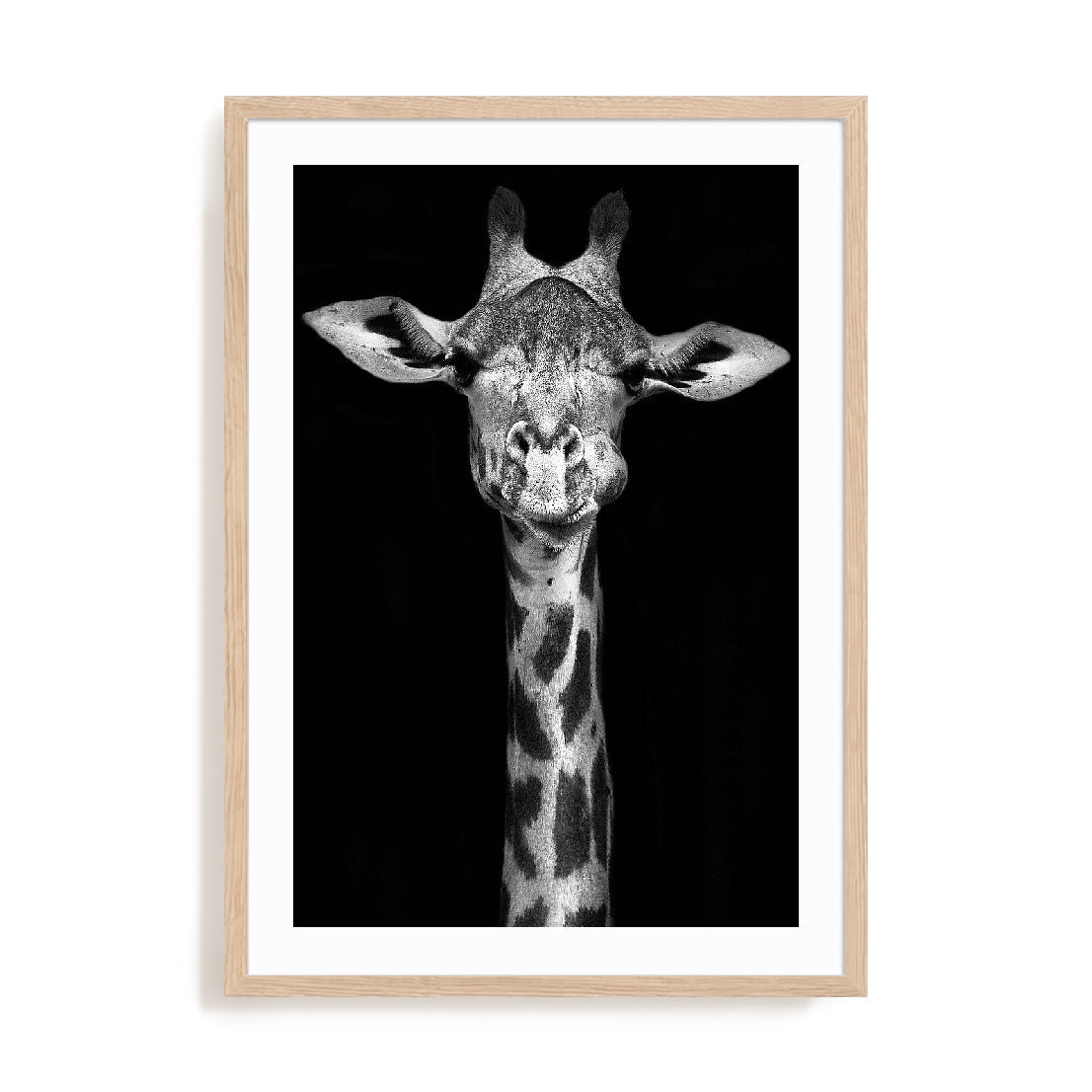 Giraffe Wall Art