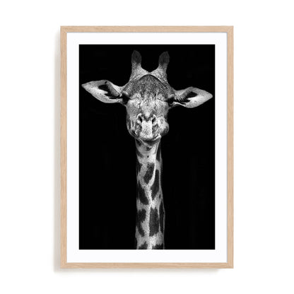 Giraffe Wall Art