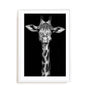 Giraffe Wall Art