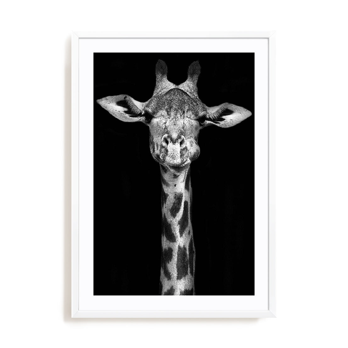 Giraffe Wall Art
