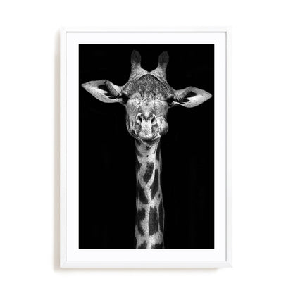 Giraffe Wall Art