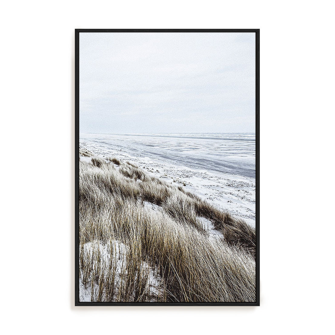 Coastal II