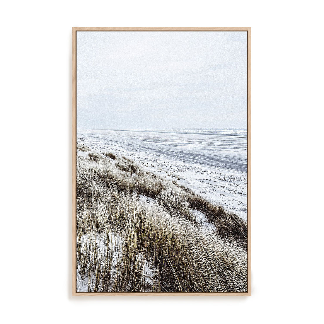 Coastal II
