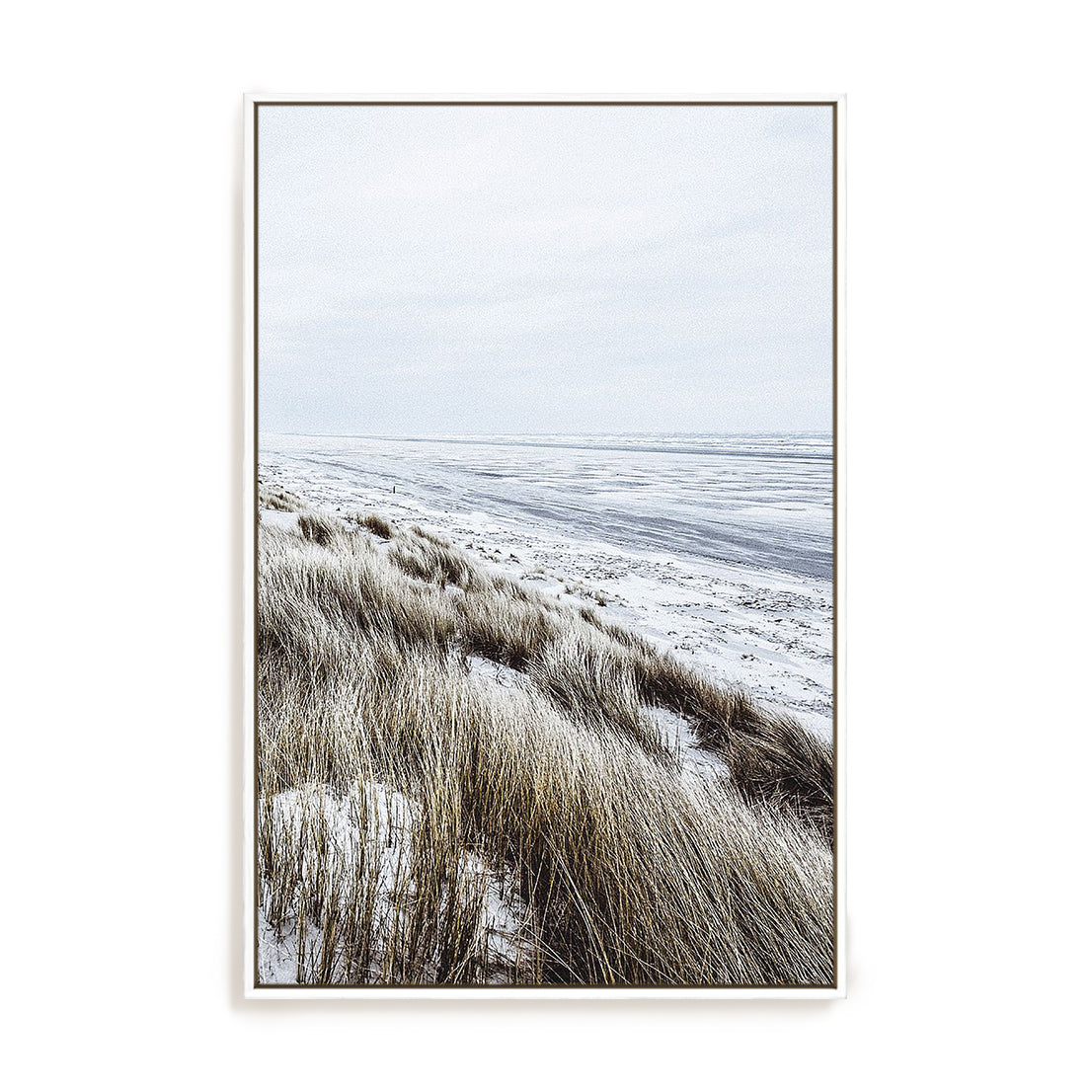 Coastal II