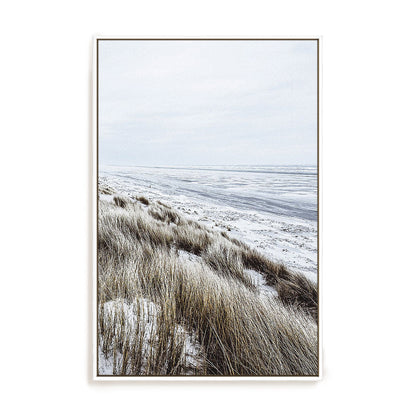 Coastal II